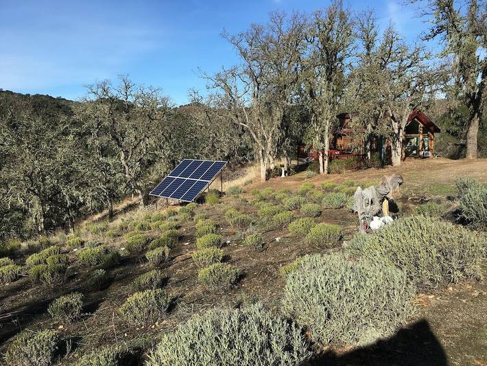 Log cabin for 4 people, with garden and balcony, with pets in Big Sur