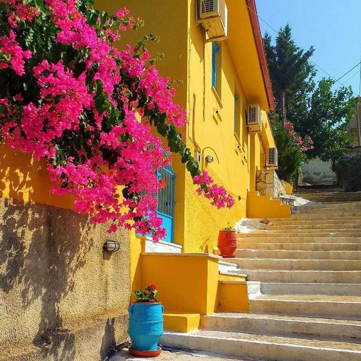 Maison d’hôte pour 2 personnes, avec vue et jardin dans Vathy