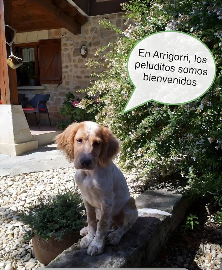 Ferienhaus in perfekter Lage mit Garten und Grill in Murguía, Zuia