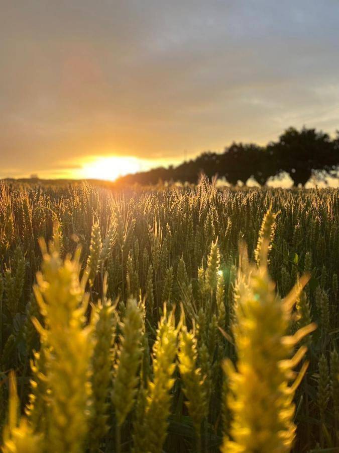 Gîte pour 4 personnes, avec vue à Fiorenzuola d'Arda - 2