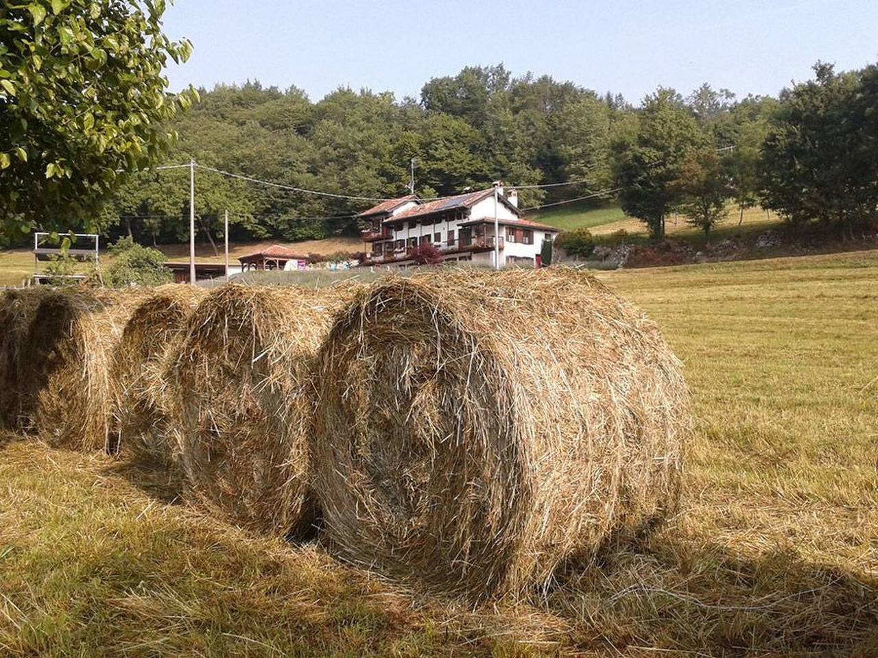 Ganze Wohnung, Duck's Cottage für einen Dolomitenurlaub in Feltre, Cimonega-Gruppe