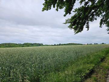 Ferienwohnung für 4 Personen in Hejls, Kleiner Belt, Bild 3