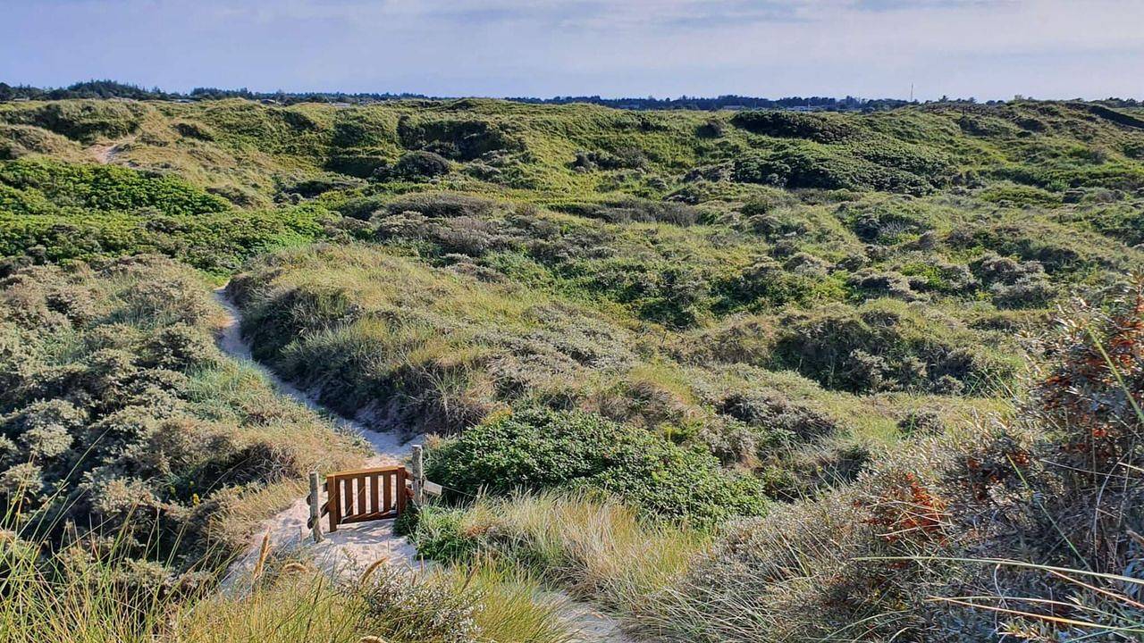 Ferienhaus für 4 Personen (35 m²) in Bindslev in Tversted, Tannisbucht