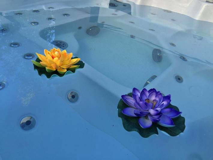 Location de vacances pour 4 personnes, avec vue ainsi que vue sur le lac et jardin, animaux acceptés à Villeneuve-lès-Maguelone - 2