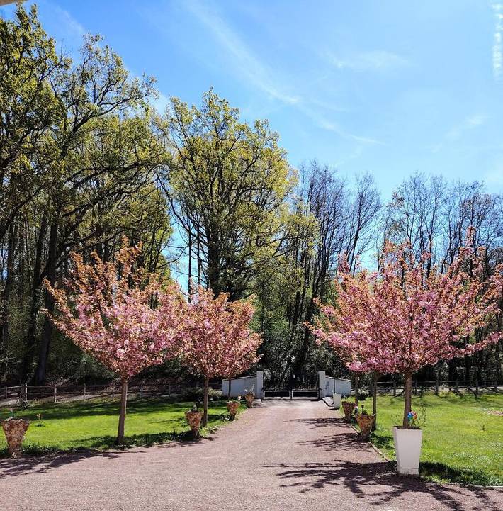 Location de vacances pour 2 personnes, avec Terrasse ainsi que Jardin et Vue à Gien - 4