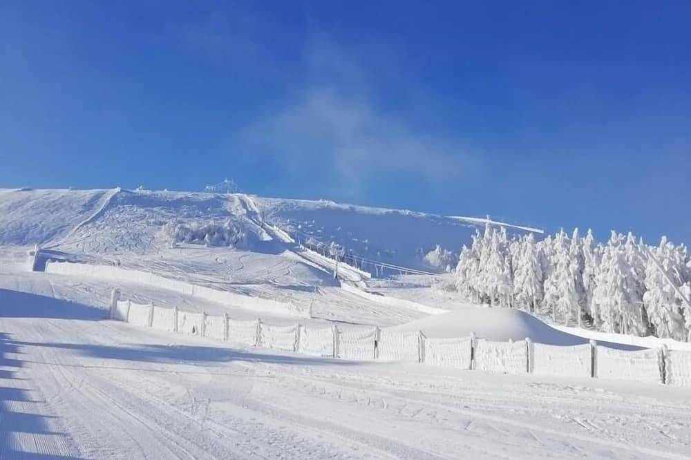 Casa-Familiar-Baño privado con bañera-Vista a la Montana in Station de Chalmazel, Chalmazel