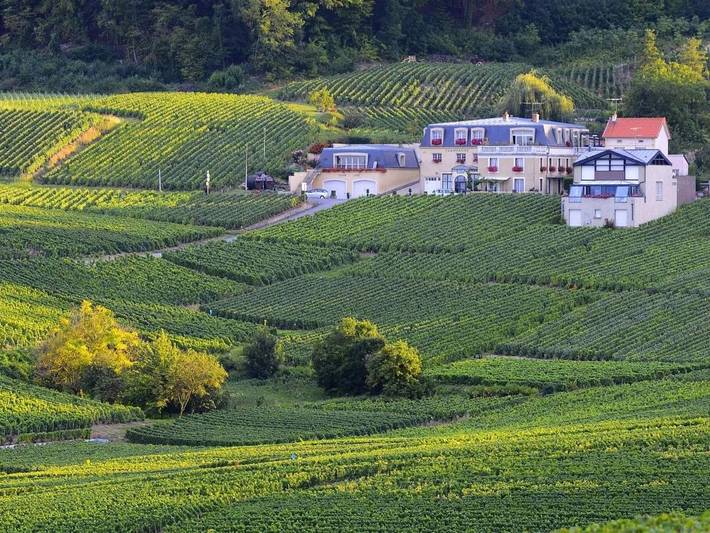 Maison d’hôte pour 2 personnes à Cramant - 3