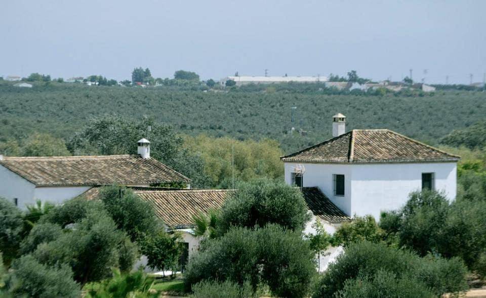 El Cotillo de San Jose in Hinojos, Provincia de Huelva