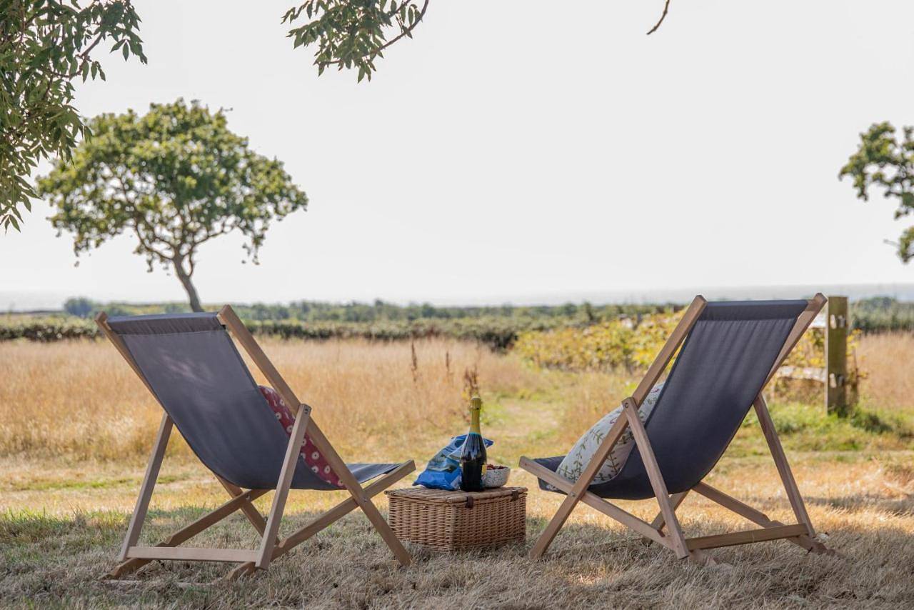 Barnhorn Glamping in Bexhill, East Sussex
