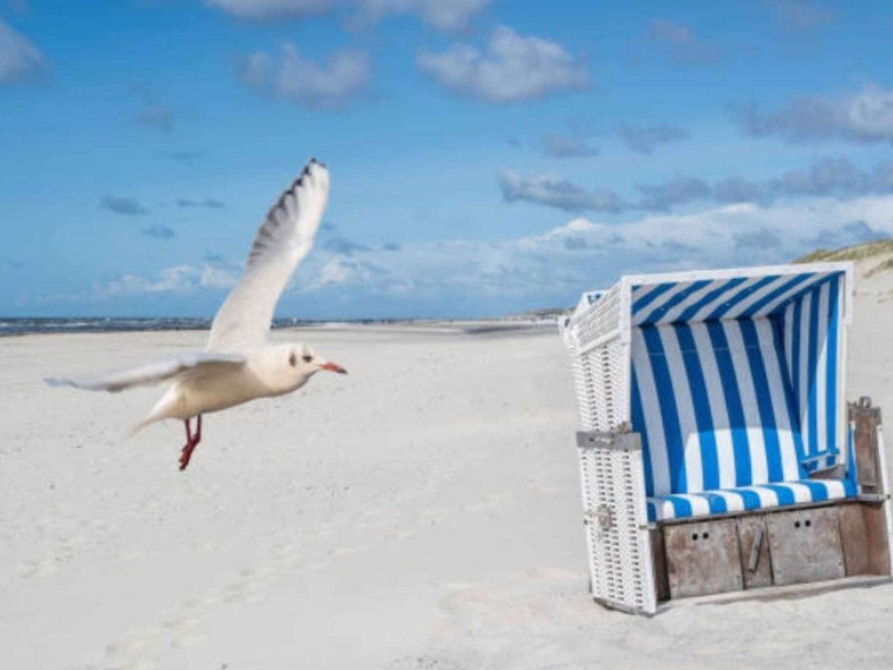 Ferienhaus Blauer Salon in Karlshagen, Usedomer Norden