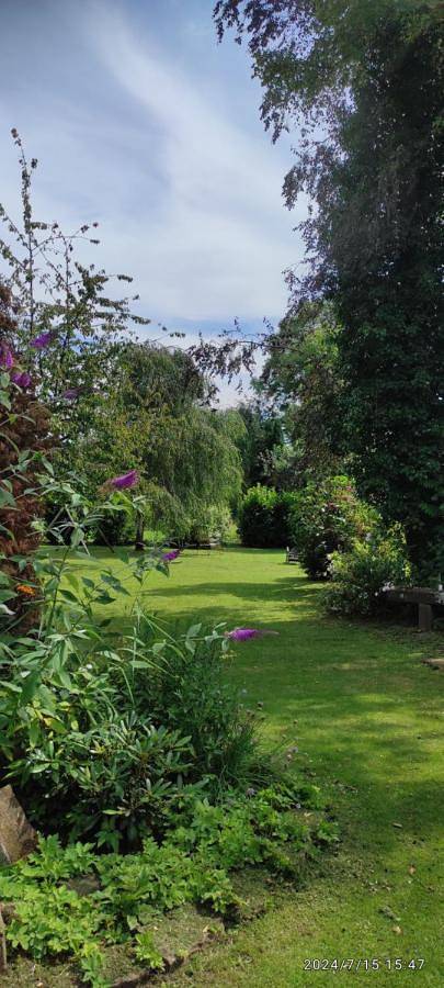 Gîte pour 2 personnes, avec jardin ainsi que vue et piscine, animaux acceptés à Langensoultzbach - 4