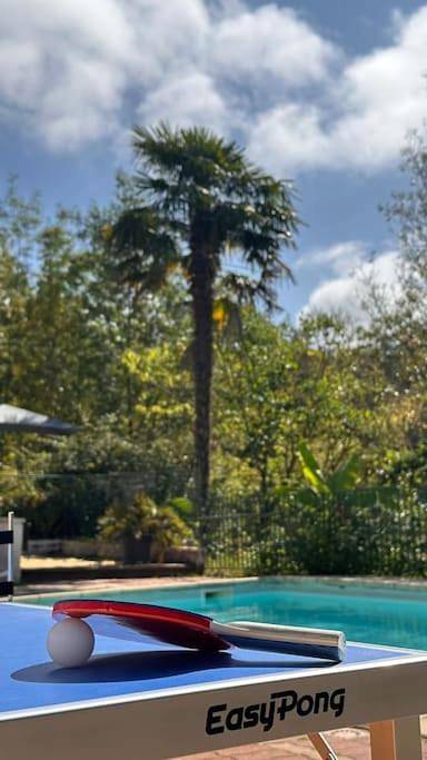 Location de vacances pour 6 personnes, avec vue et jardin, animaux acceptés à Agnac - 3