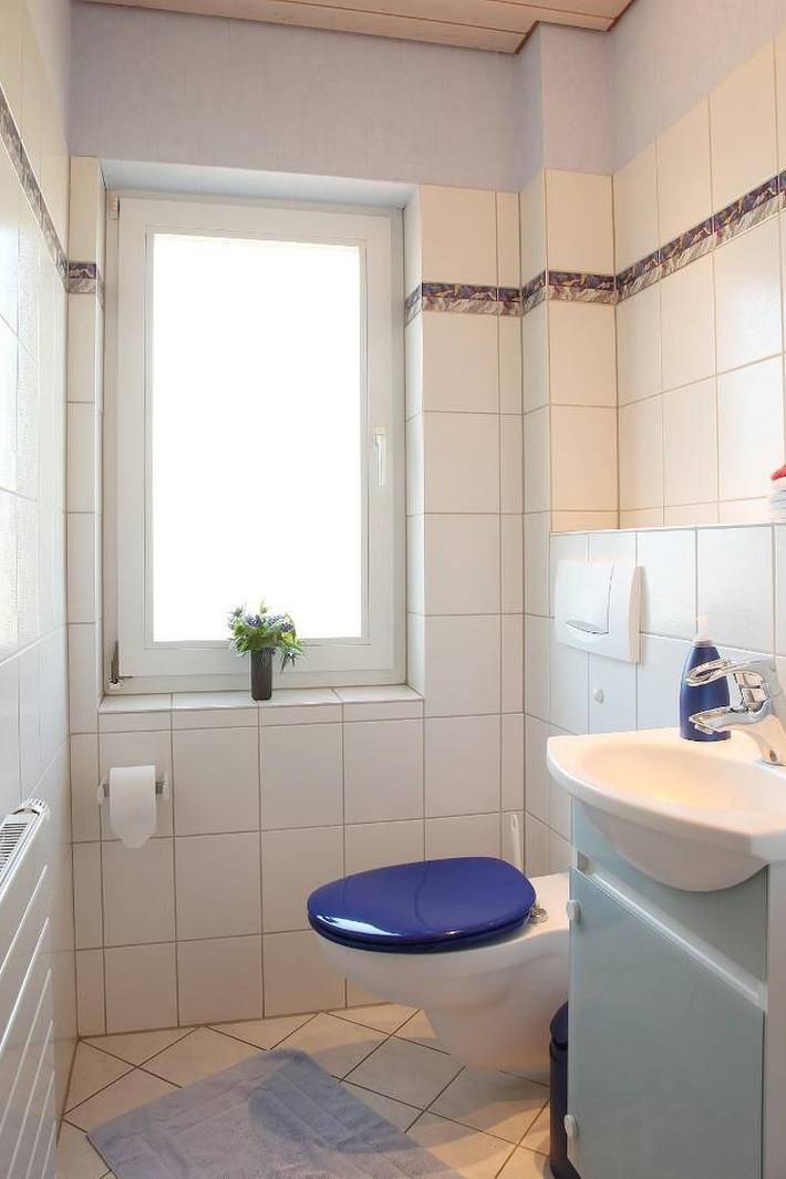 Ganze Wohnung, Komfortable Ferienwohnung mit großem Balkon in Walsrode, Aller-Leine-Tal