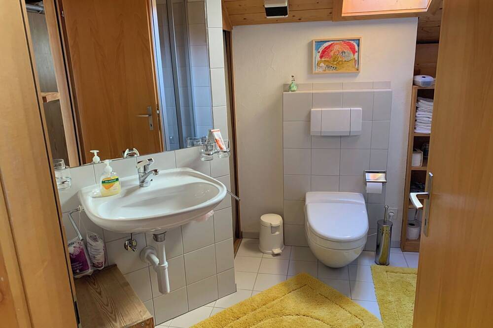 Ganze Wohnung, Haus Vicasa, Andiast, (Andiast), 59003B in Andiast, Alpenarena
