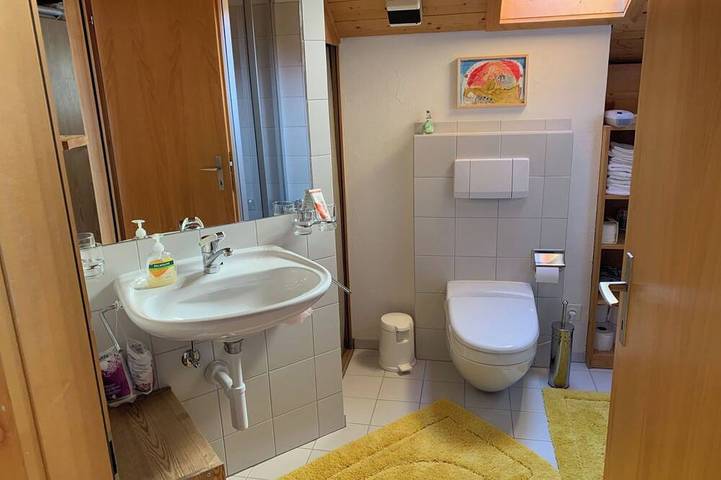 Ganze Wohnung, Haus Vicasa, Andiast, (Andiast), 59003B in Andiast, Alpenarena