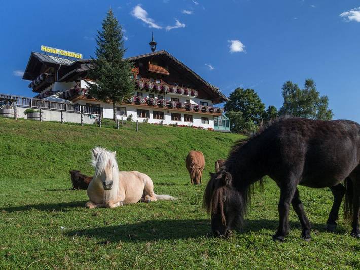 Hotel für 2 Personen, mit Garten und Balkon, kinderfreundlich in Rohrmoos - 2