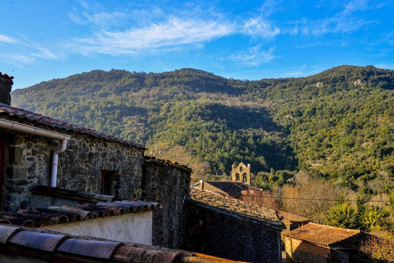 L'Amandier in Greffeil, Région de Limoux