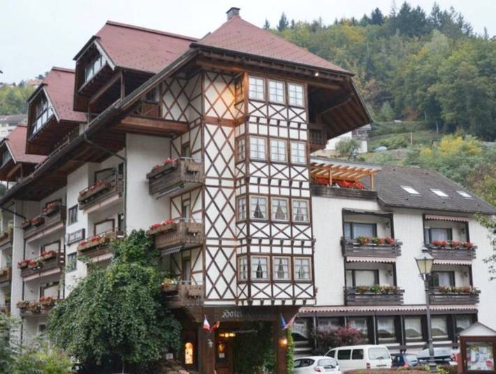 Hôtel pour 2 personnes, avec terrasse ainsi que vue et jardin dans Bad Peterstal