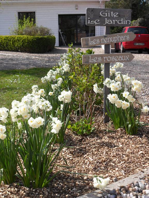Gîte pour 3 personnes, avec jardin à Merlimont - 2