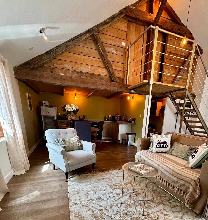 Appartement entier, Le carrosse, la diligence, centre Saint Jean de Losne tarif 2pers 1 chambre, tarif 4 pers 2 chambres in Saint-Jean-de-Losne, Région de Beaune