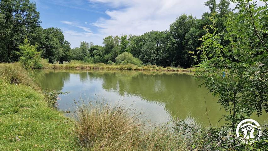 O'Lacalin in Saint-Sulpice-la-Pointe, Región de Castres