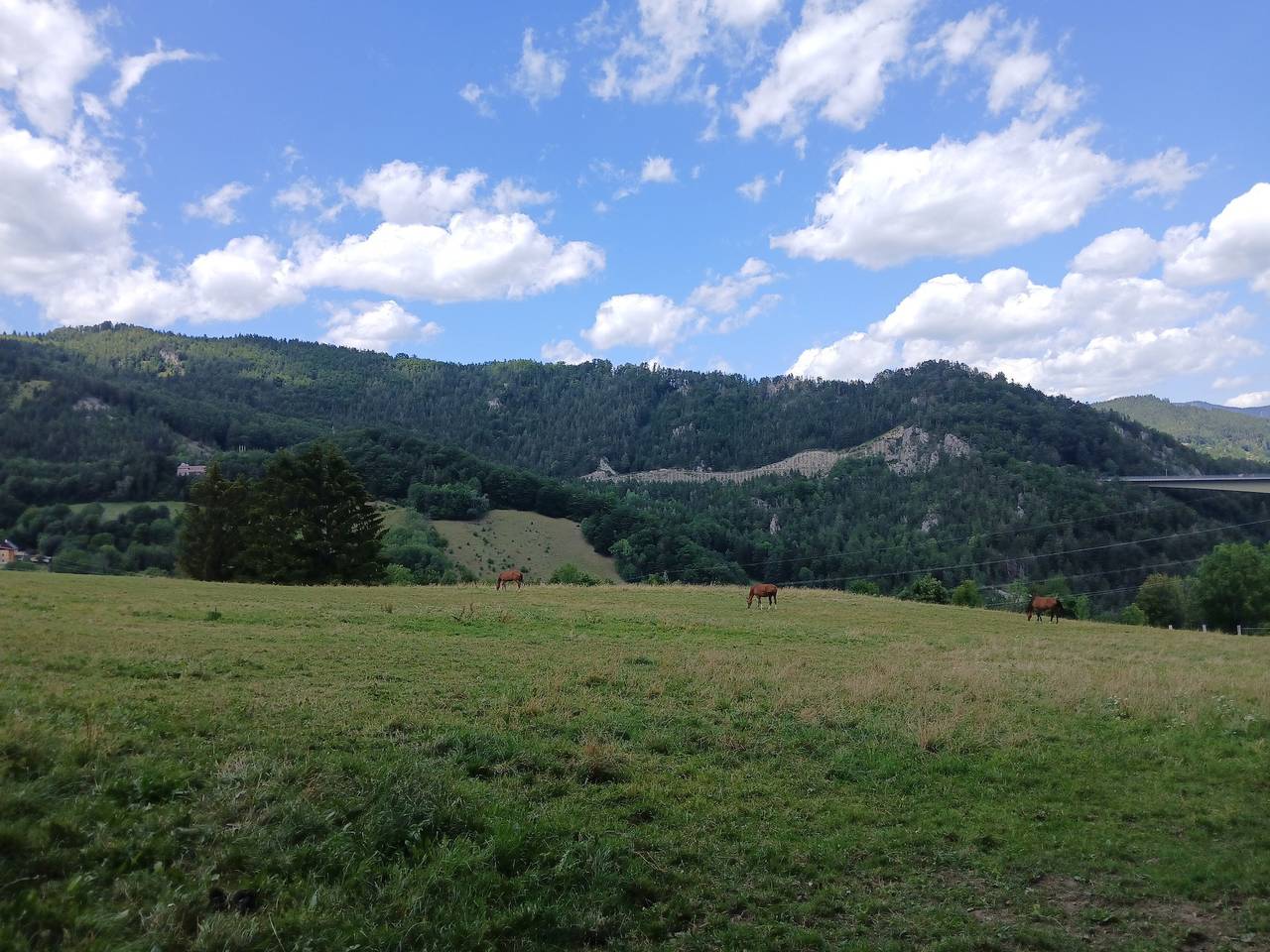 Ganze Wohnung, Apartment „Weidenblick“ mit Bergblick, privater Terrasse und Wlan in Schottwien, Wiener Alpen in Niederösterreich