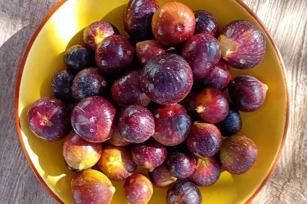 Orchard House with outdoor kitchen & stunning views (Pet Friendly) in Castril, Geoparque de Granada