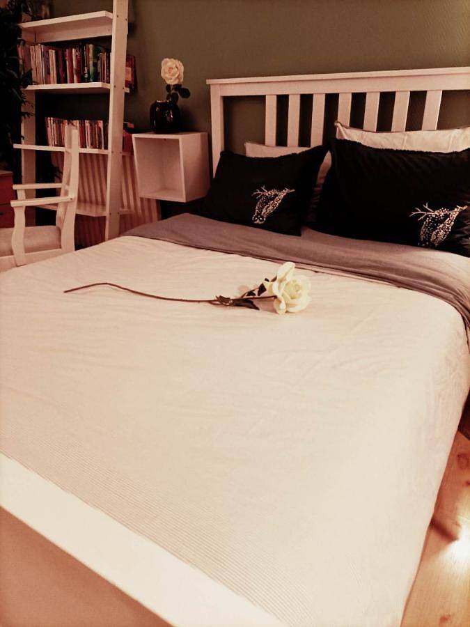 Apartamento de vacaciones para 3 personas, con vistas y jardín, Se admiten mascotas - 1