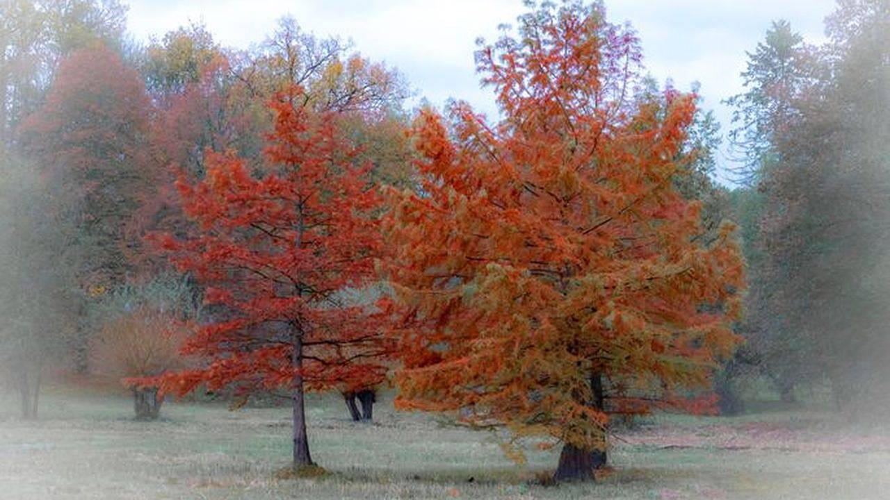 Ganze Ferienwohnung, Ferienwohnung für 3 Personen (65 m²) in Rheinsberg in Rheinsberger See, Rheinsberg