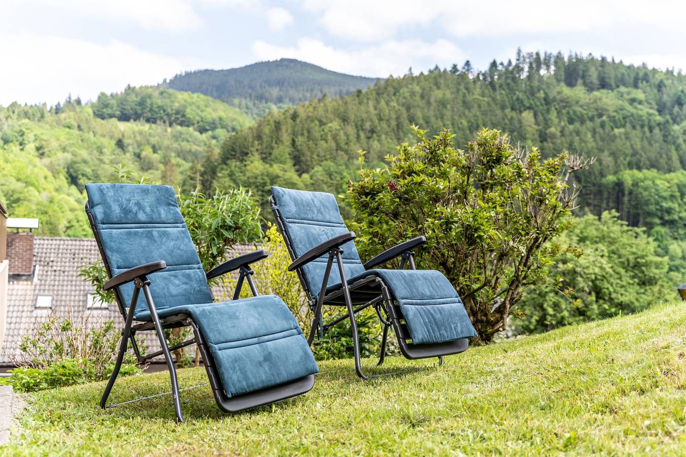 Ganze Wohnung, Ferienwohnung 'Streck' mit Bergblick, privater Terrasse und Wlan in Bad Peterstal-Griesbach, Mittlerer Schwarzwald