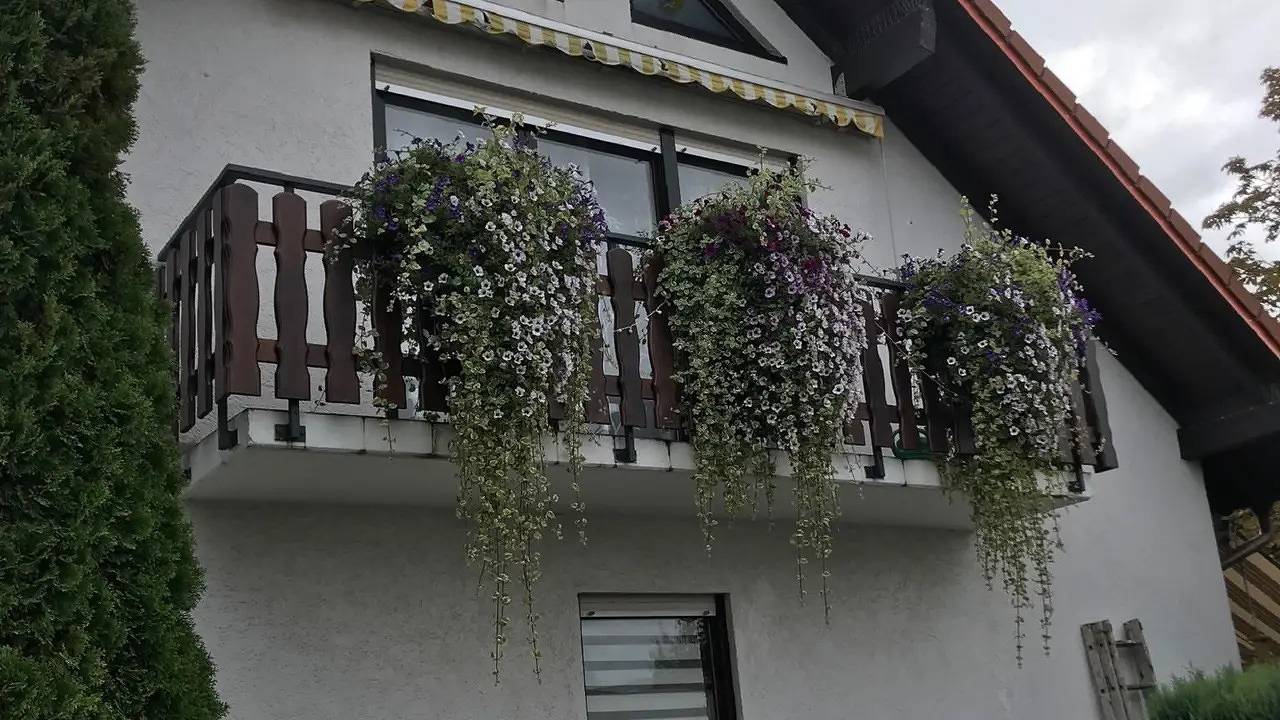 Ganze Ferienwohnung, Ferienwohnung für 4 Personen (60 m²) in Langenlonsheim in Landkreis Bad Kreuznach