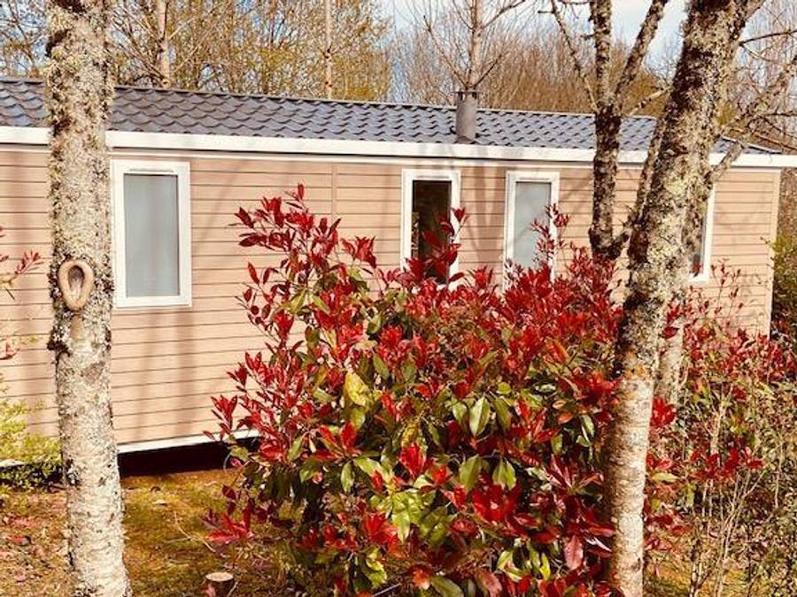 Camping L'Offrerie - Dordogne - Périgord noir - Mobilhome 4 personas - Mobil-home Premium Loggia, 32 m², 2 dormitorios - Llegada los sábados en julio y agosto in Rouffignac-Saint-Cernin-de-Reilhac, Périgord Noir