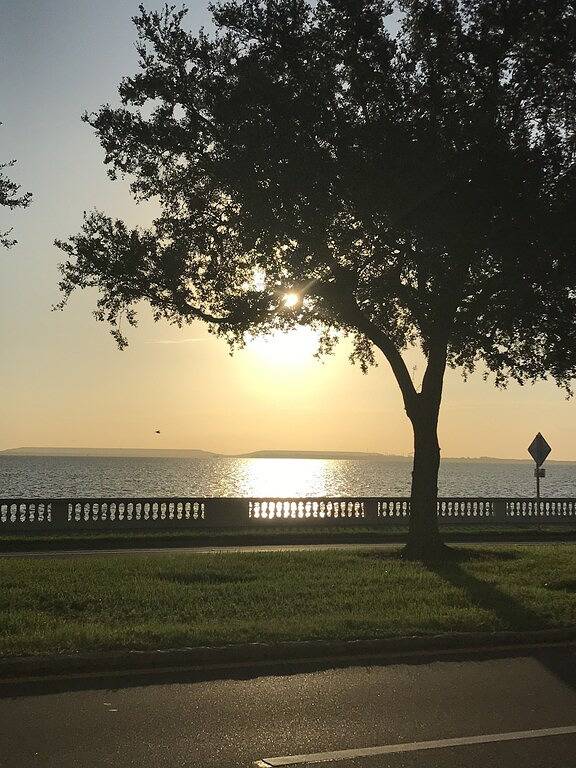 Ferienwohnung für 4 Personen, mit Garten in Tampa