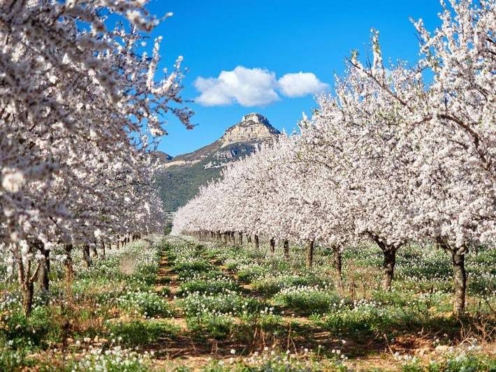 Maison de campagne pour 2 personnes, avec vue à Murillo de Gállego - 2
