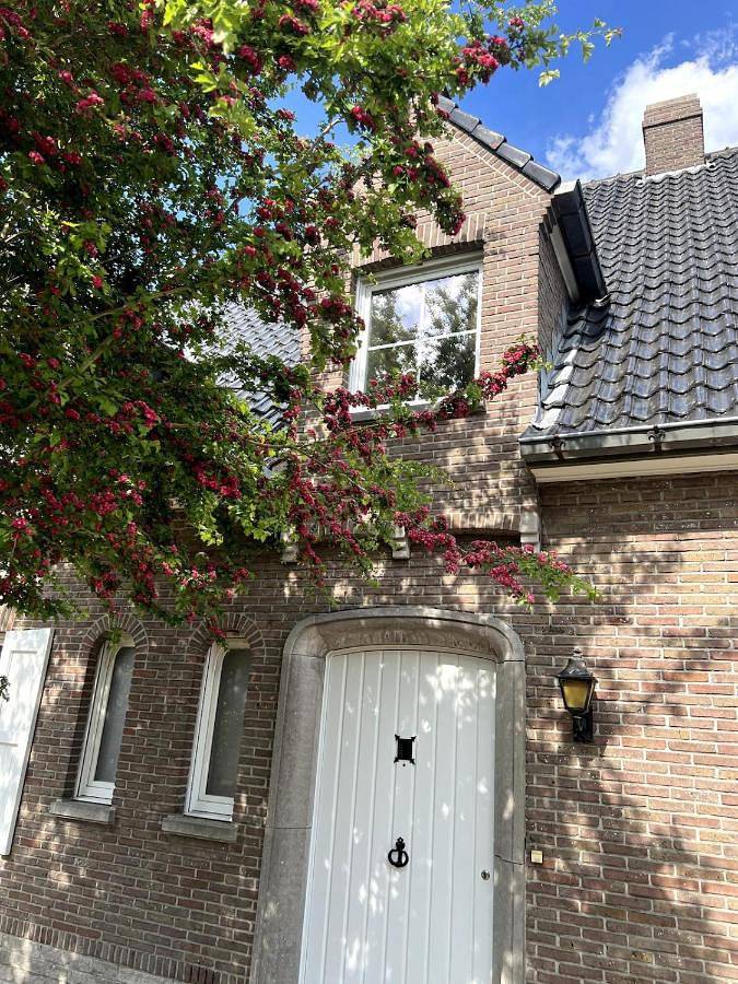 Location de vacances pour 10 personnes, avec jardin, animaux acceptés à Oostkamp