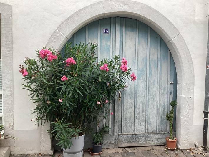 Ferienhaus für 4 Personen, mit Balkon und Terrasse in Deidesheim