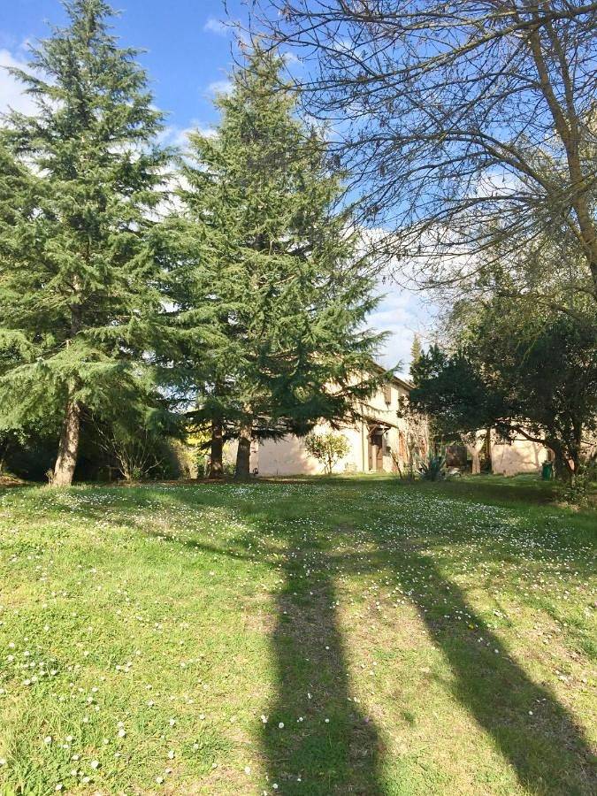 Double or Twin Room with Shared Bathroom in Fauglia, Italienische Riviera