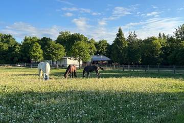 Ferienwohnung für 4 Personen in Dankerode
