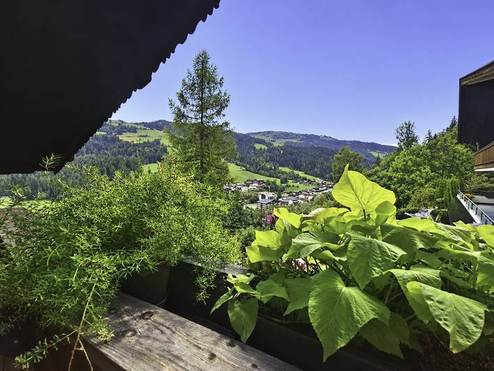 Ganze Wohnung, Manharthof in Kirchberg in Tirol, Bezirk Kitzbühel