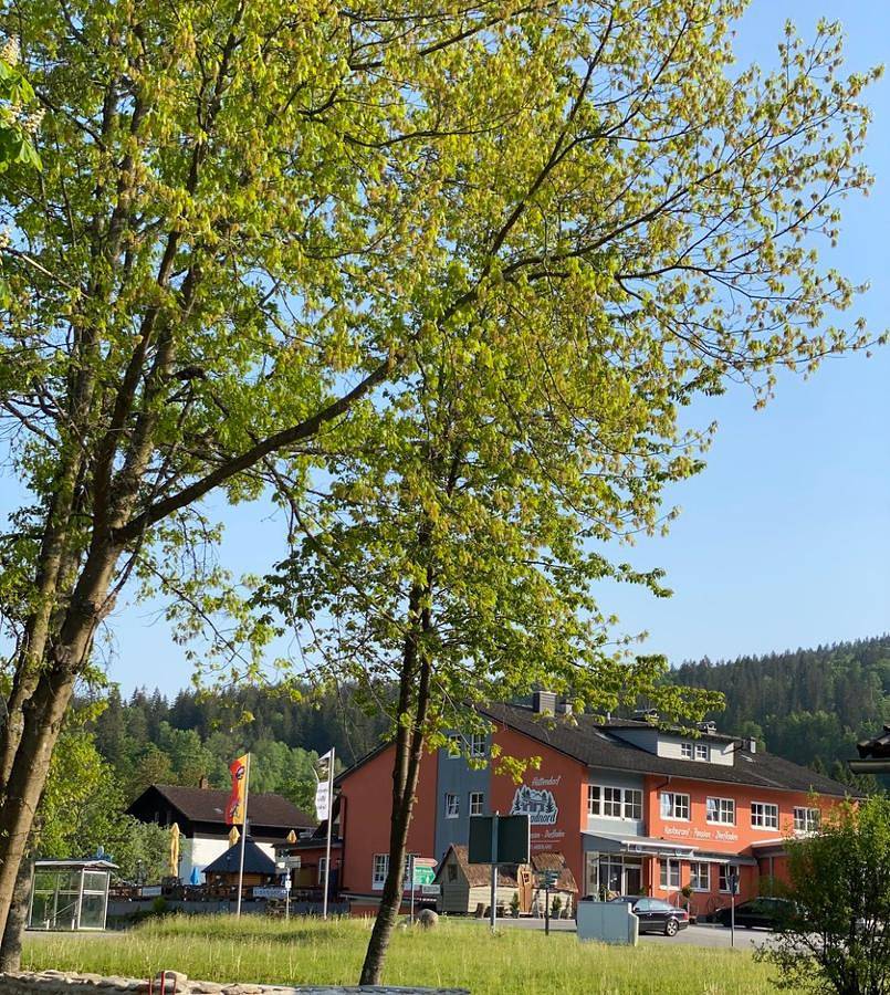 Hotel Hüttendorf 49 gradnord - Fünfbettzimmer in Regenhütte, Bayerisch Eisenstein