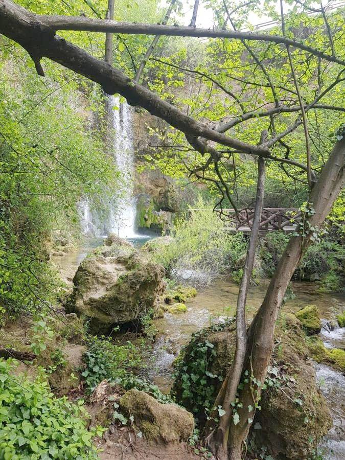 Gîte pour 2 personnes, avec terrasse et jardin à Despotovac - 4