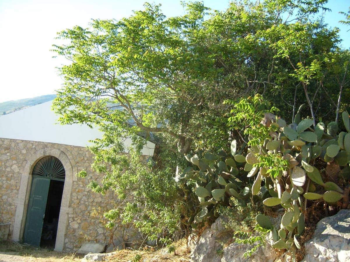 Family Studio in Castellammare del Golfo, Provincia di Trapani