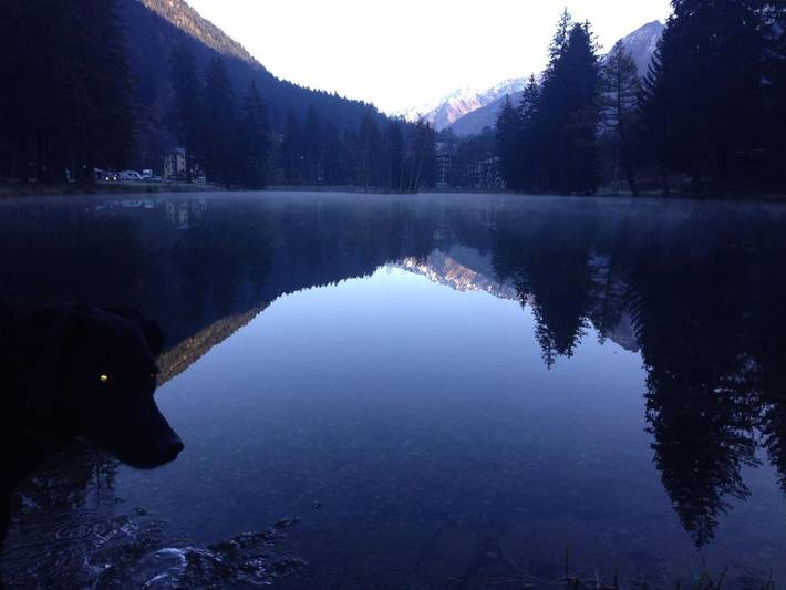 Chambre d’hôte pour 2 personnes, avec jardin à Chamonix-Mont-Blanc - 4