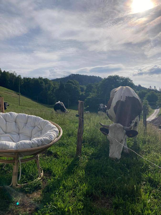 Location de vacances pour 2 personnes, avec terrasse et vue à Ramonchamp - 4