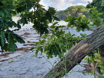 Ferieudlejning til 6 Personer i Asnæs, Odsherred, Billede 2