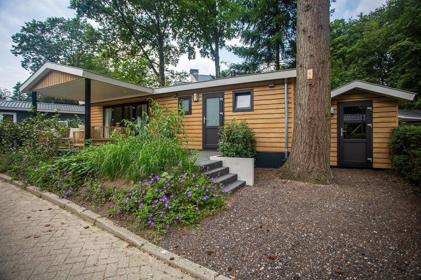 Vakantiepark De Thijmse Berg — Heuvelrug Cottage | 4 personen in Rhenen, Provincie Utrecht