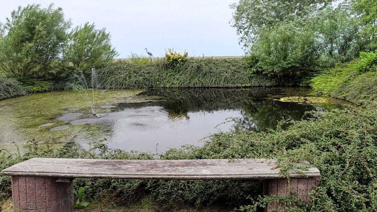 Ferienhaus für 3 Personen (110 m²) in Hobendeich in Stadland, Wesermarsch
