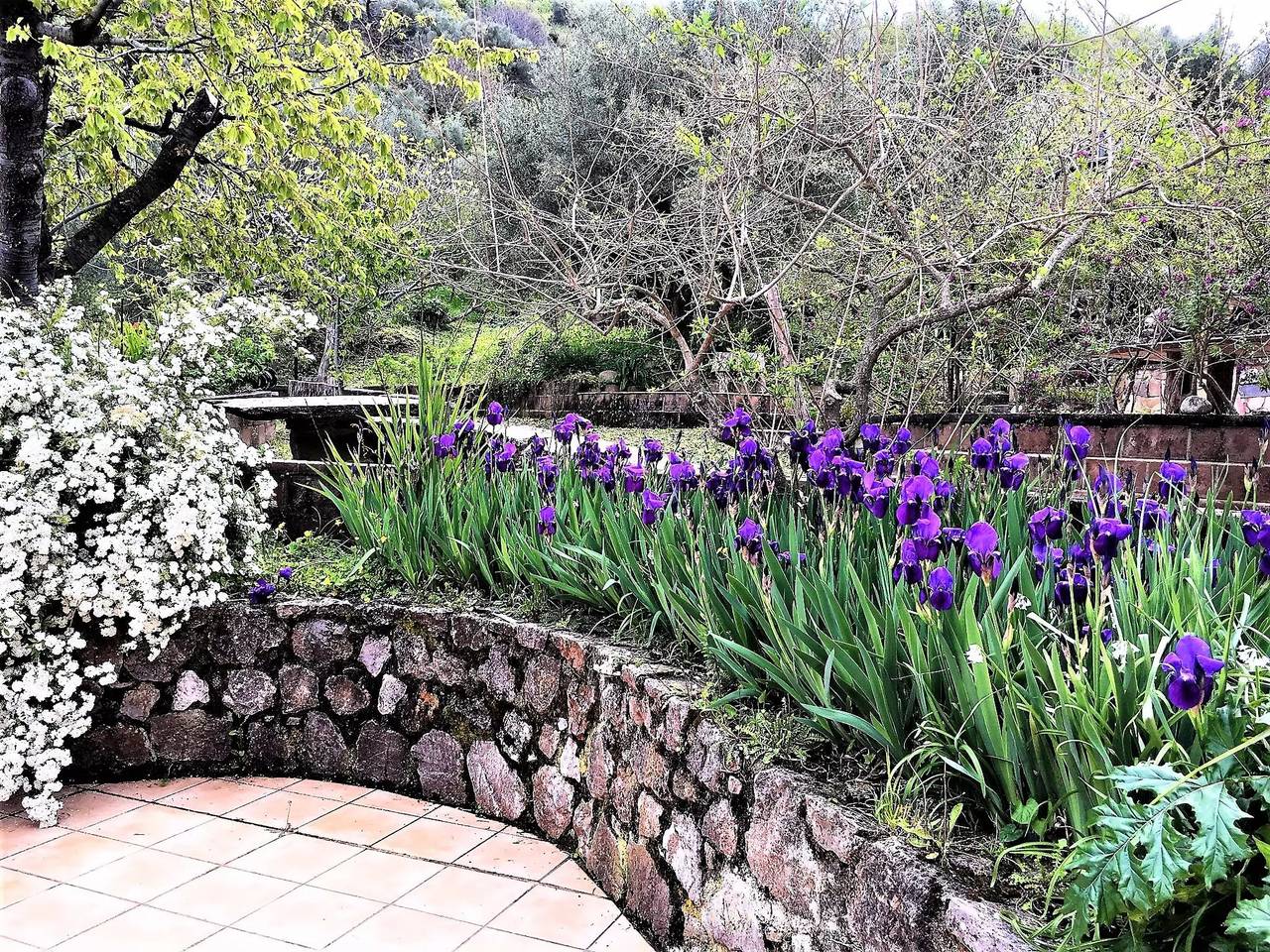 Apartamento entero, 3 estancias 2 Personas in Gioiosa Marea, Provincia de Messina