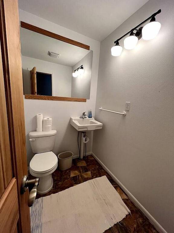 Vacation rental for 16 people, with hot tub and terrace, with pets in Cody (WY)