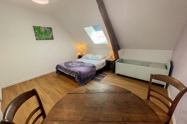 Gîte pour 12 personnes, avec jardin à Courcelles-de-Touraine - 4